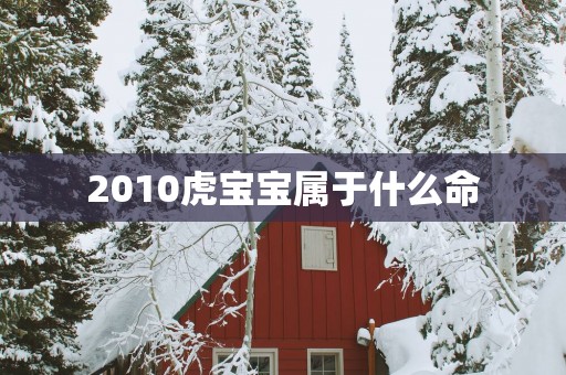 2010虎宝宝属于什么命