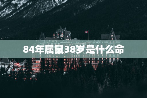 84年属鼠38岁是什么命