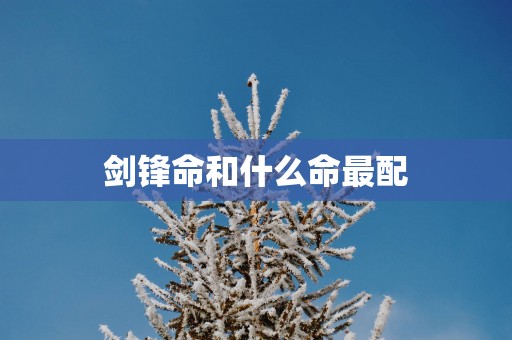 剑锋命和什么命最配
