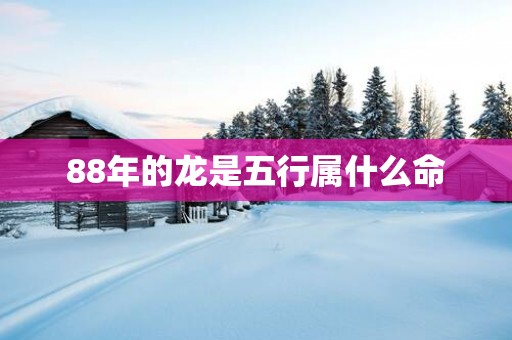 88年的龙是五行属什么命