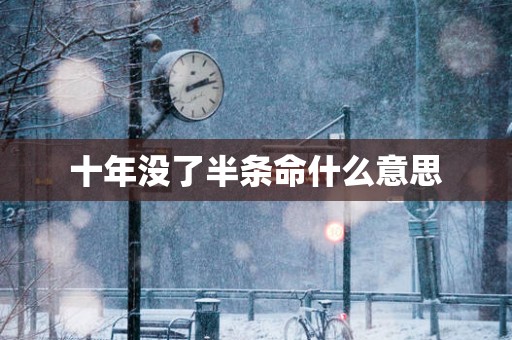十年没了半条命什么意思