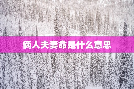俩人夫妻命是什么意思