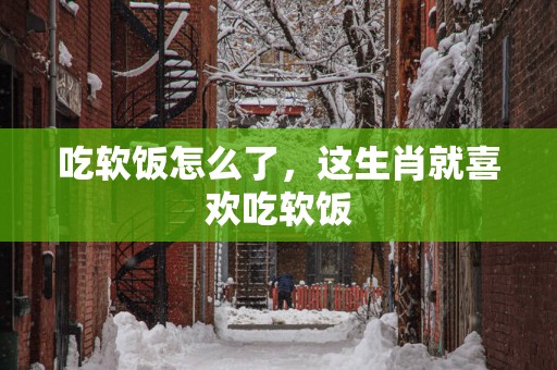 吃软饭怎么了，这生肖就喜欢吃软饭