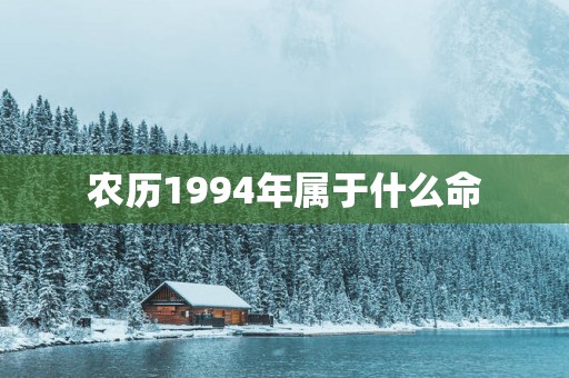 农历1994年属于什么命