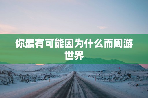 你最有可能因为什么而周游世界