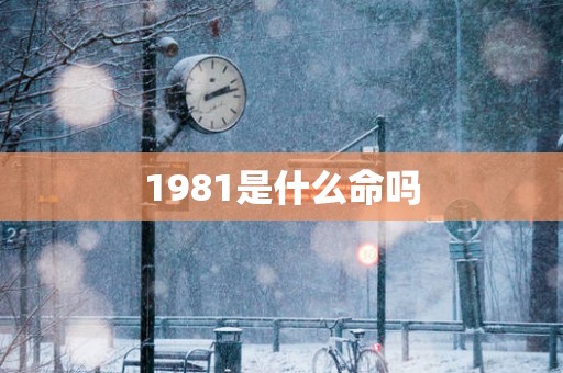 1981是什么命吗