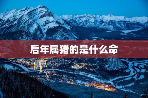 后年属猪的是什么命