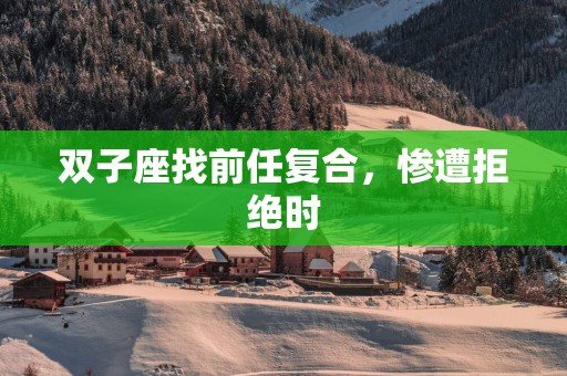 双子座找前任复合，惨遭拒绝时