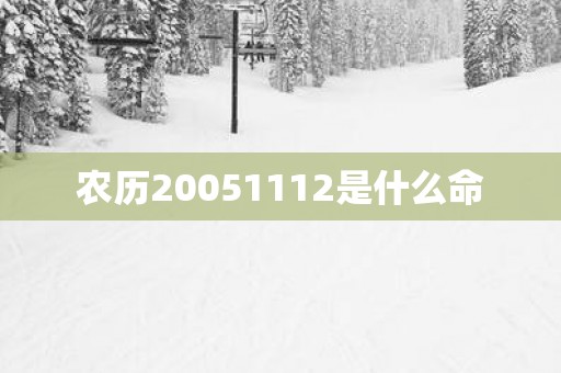 农历20051112是什么命