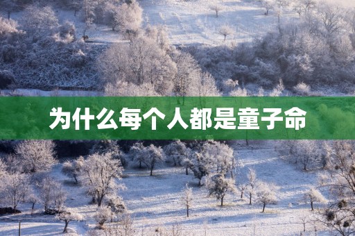为什么每个人都是童子命