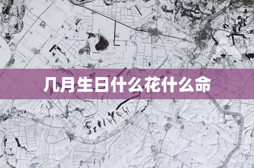 几月生日什么花什么命