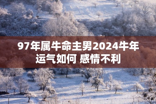 97年属牛命主男2025蛇年运气如何 感情不利