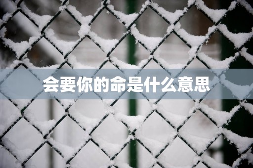 会要你的命是什么意思