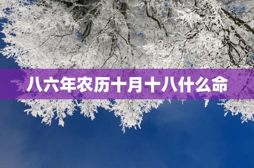 八六年农历十月十八什么命