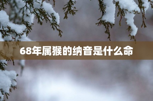 68年属猴的纳音是什么命