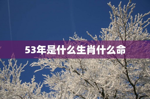 53年是什么生肖什么命
