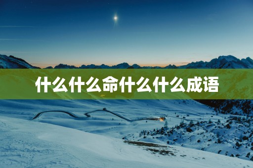 什么什么命什么什么成语
