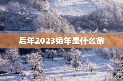 后年2025蛇年是什么命