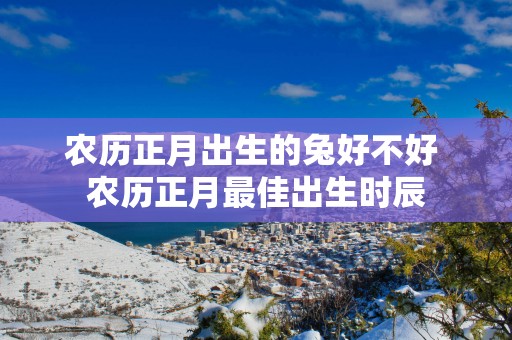 农历正月出生的兔好不好 农历正月最佳出生时辰