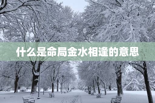 什么是命局金水相逢的意思