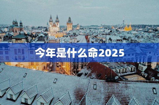 今年是什么命2025