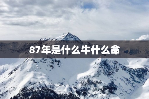 87年是什么牛什么命