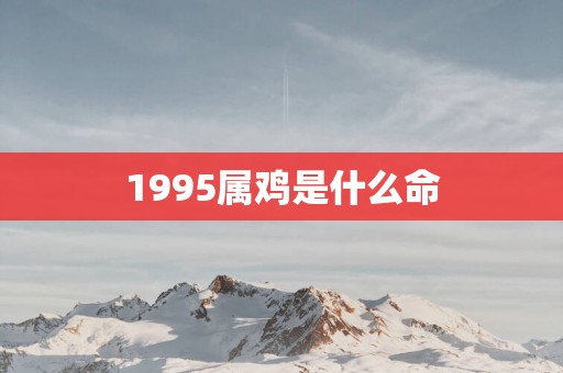 1995属鸡是什么命