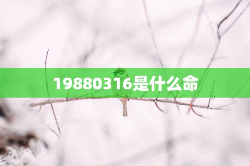 19880316是什么命