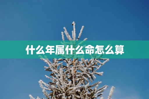 什么年属什么命怎么算