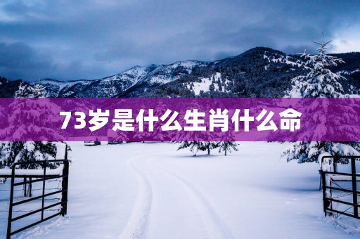 73岁是什么生肖什么命