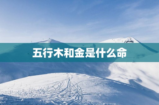 五行木和金是什么命