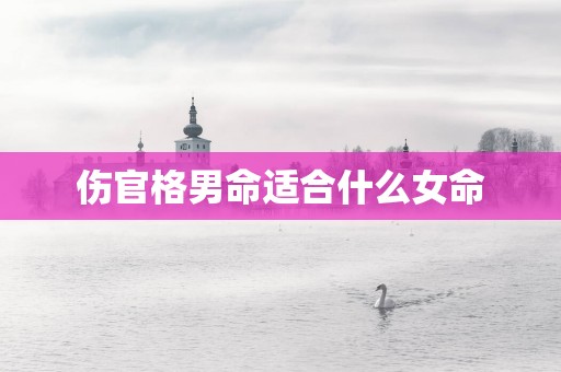 伤官格男命适合什么女命