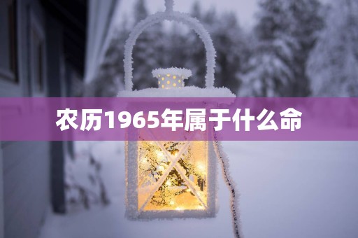 农历1965年属于什么命