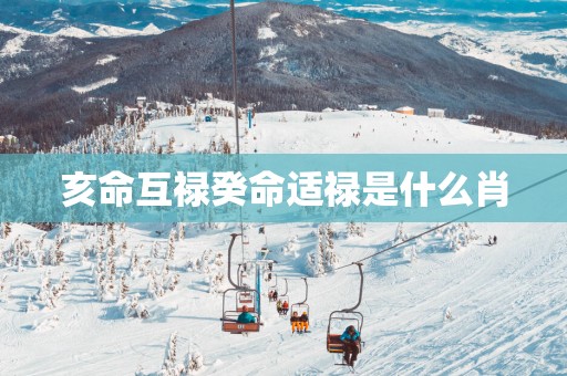 亥命互禄癸命适禄是什么肖