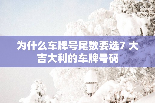为什么车牌号尾数要选7 大吉大利的车牌号码