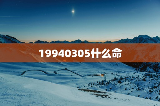 19940305什么命