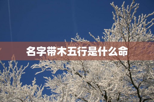 名字带木五行是什么命 名字带木五行是什么命