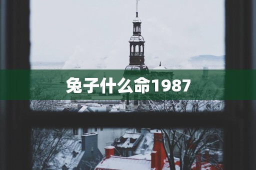 兔子什么命1987