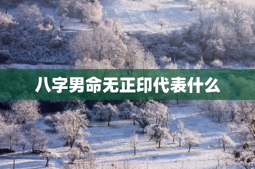 八字男命无正印代表什么