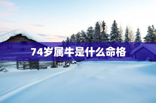 74岁属牛是什么命格