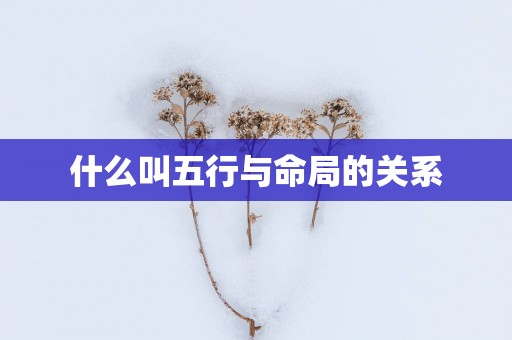 什么叫五行与命局的关系