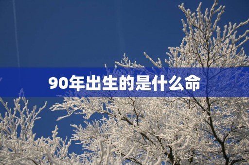 90年出生的是什么命