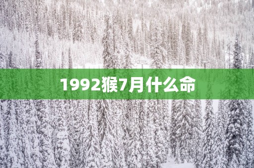 1992猴7月什么命
