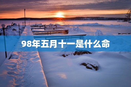 98年五月十一是什么命