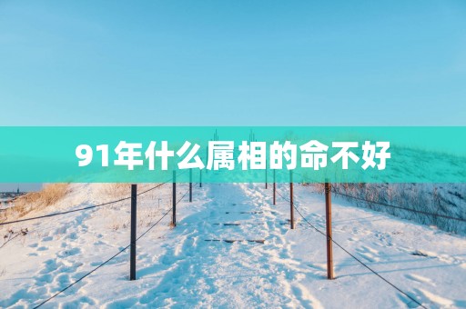 91年什么属相的命不好
