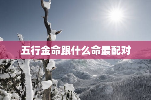 五行金命跟什么命最配对