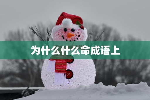 为什么什么命成语上