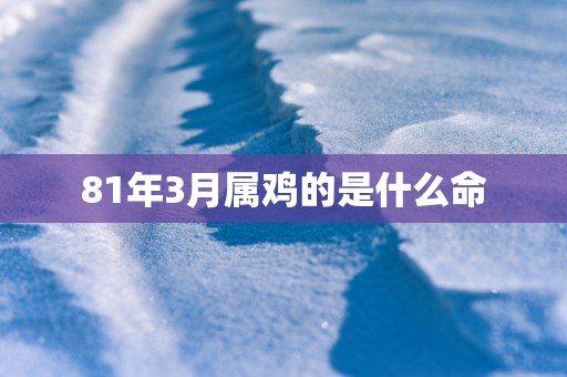 81年3月属鸡的是什么命