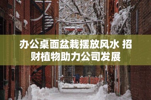 办公桌面盆栽摆放风水 招财植物助力公司发展