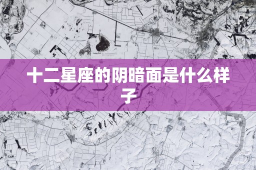 十二星座的阴暗面是什么样子